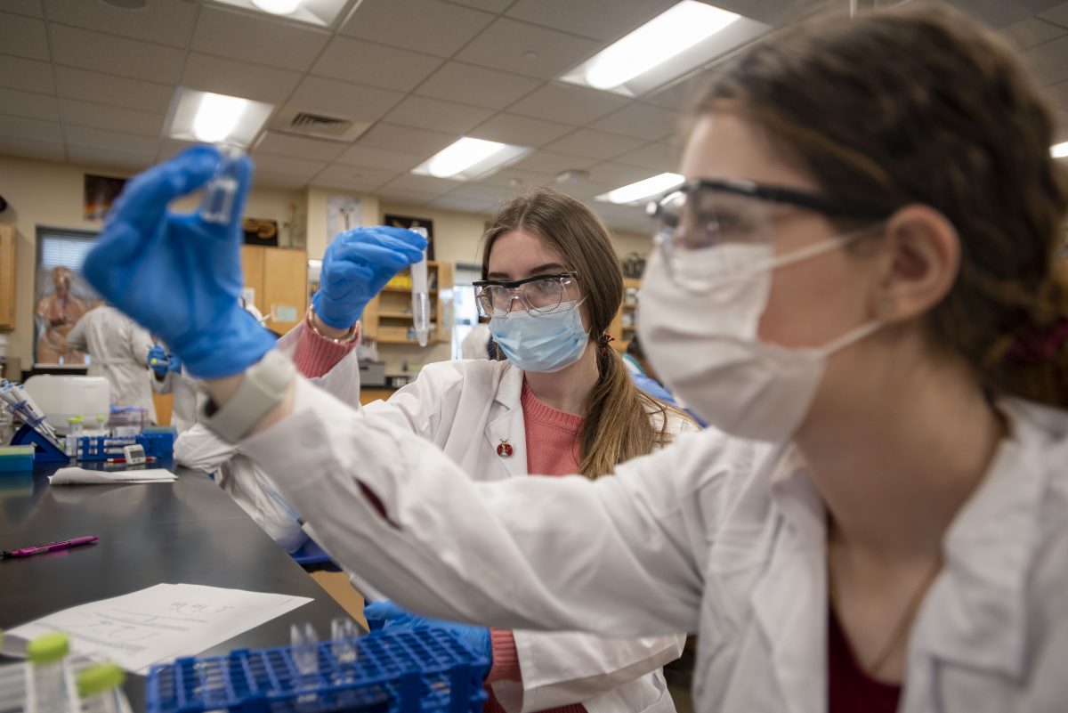 students working in a lab