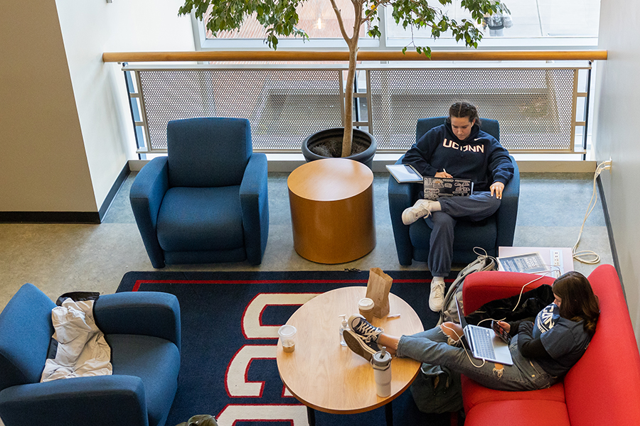 Students study in the Student Union