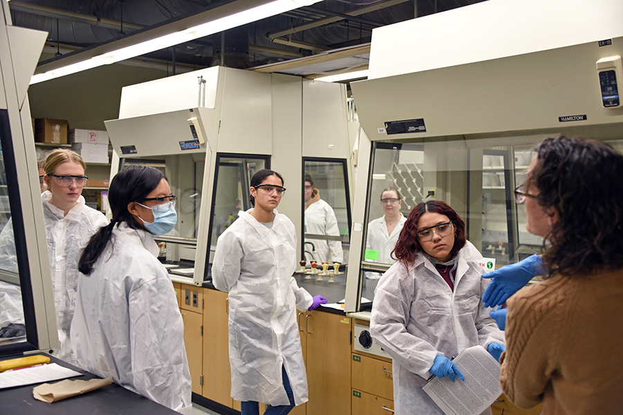 students in a lab class