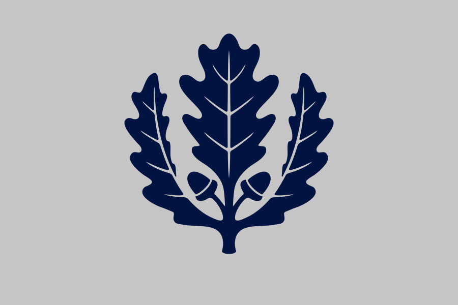 image placeholder - UConn oak leaf